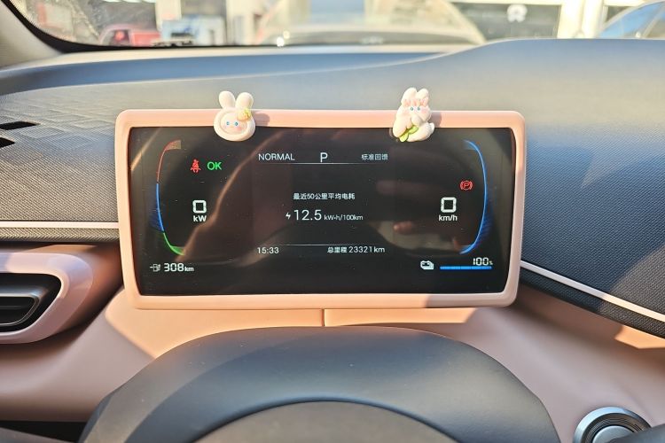 比亚迪 海鸥 2025款 305km 活力版中控内饰14