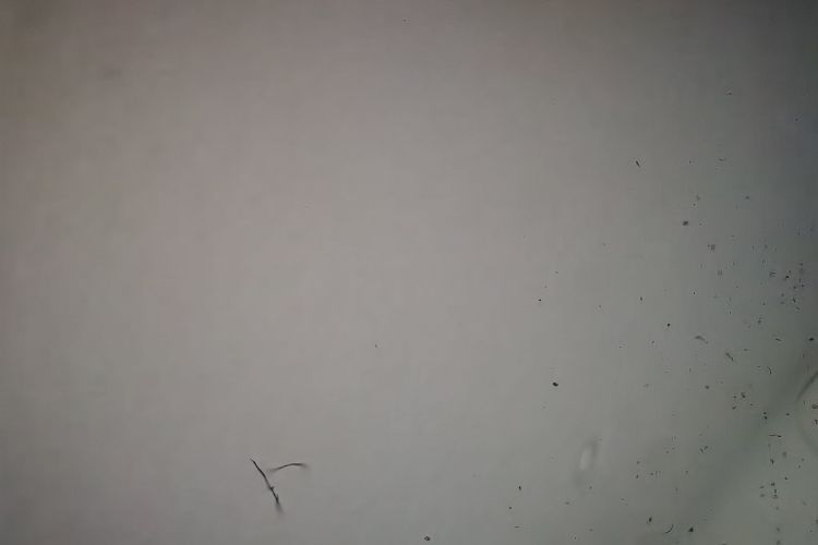 欧拉黑猫 2022款 301km 萌宠版 磷酸铁锂局部细节22