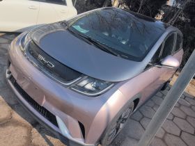 比亚迪 海豚 2021款 401km 骑士版