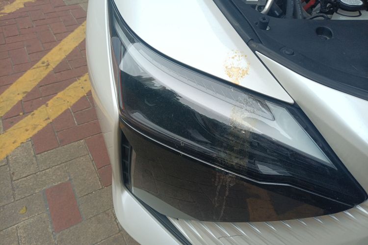 雷克萨斯RZ 2023款 450e 四驱纵享版车身外观8