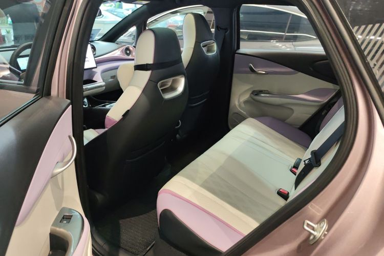 比亚迪 海豚 2023款 401km 骑士版中控内饰21