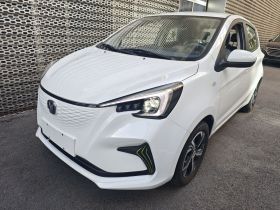 长安欧尚 奔奔E-Star 2022款 清心版 多彩款 磷酸铁锂