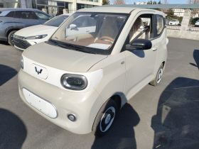 五菱汽车 宏光MINIEV 2024款 第三代 215km 青春版