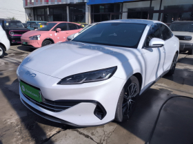 比亚迪 海豹06新能源 2024款 DM-i 80KM尊贵型