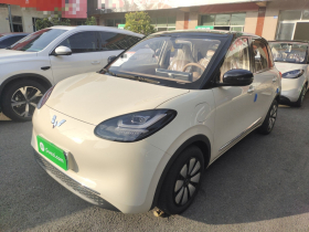 五菱汽车 五菱缤果 2025款 333km 悦享款