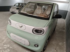 五菱汽车 宏光MINIEV 2024款 第三代 215km 青春版