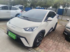 比亚迪 海鸥 2025款 305km 自由版