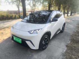 比亚迪 海鸥 2025款 405km 飞翔版