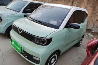五菱汽车 宏光MINIEV 2021款 马卡龙臻享款 磷酸铁锂
