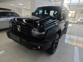 坦克300 2025款 2.0T 征服者