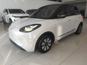 五菱汽车 五菱缤果 2023款 203km 舒享款