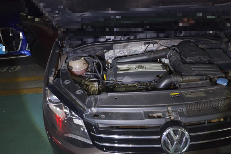 大众 夏朗 2014款 2.0TSI 豪华型局部细节9006