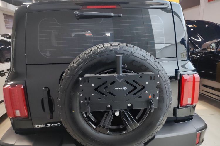 坦克300 2023款 城市版 2.0T 很有型车身外观6