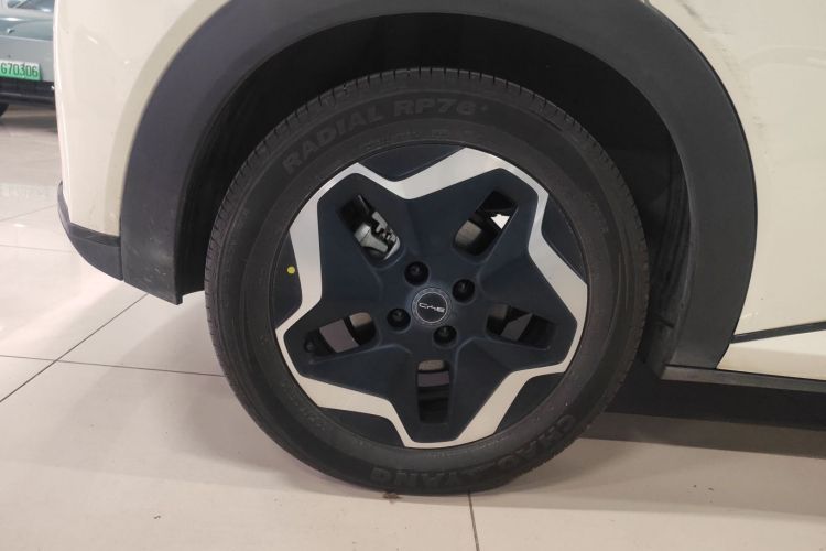 比亚迪 海豚 2021款 405km 时尚版车身外观6008