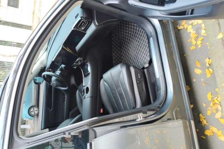 零跑汽车 零跑C11 2021款 尊享版局部细节9005