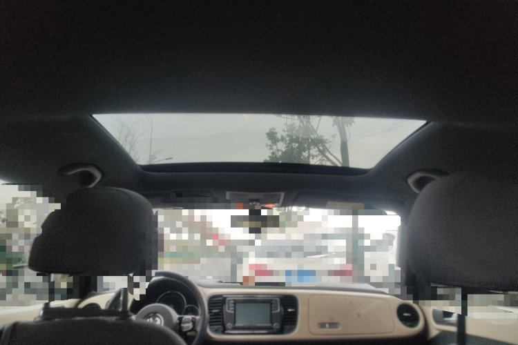 大众 甲壳虫 2019款 180TSI 珍藏版中控内饰22