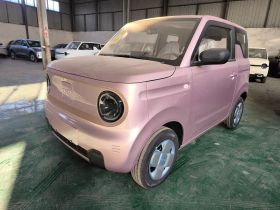 吉利银河 2024款 熊猫mini 200km 耐力熊