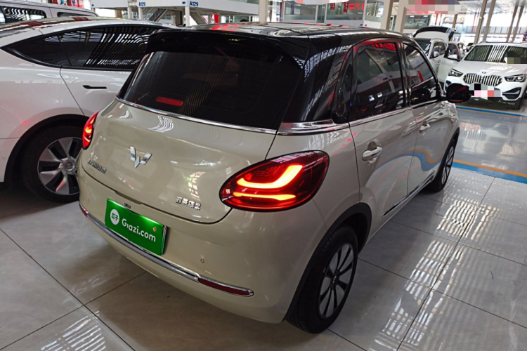 五菱汽车 五菱缤果 2024款 333km 悦享款车身外观6005