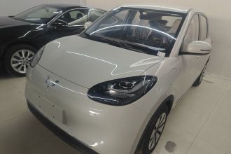 五菱汽车 五菱缤果 2024款 333km 悦享款