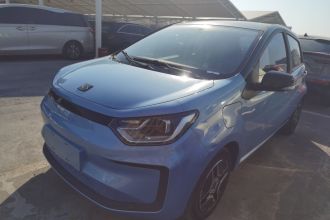 思皓 2022款 花仙子款 四叶草