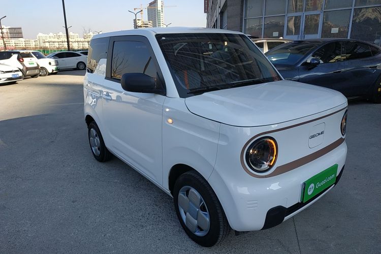 吉利银河 2024款 熊猫mini 200km 耐力熊车身外观3
