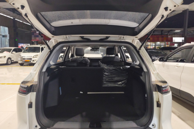 五菱汽车 五菱星云 2023款 2.0L DHT 旗舰版局部细节23