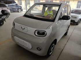 五菱汽车 宏光MINIEV 2024款 第三代 215km 青春版