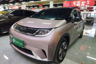 比亚迪 海豚 2025款 420km 自由版