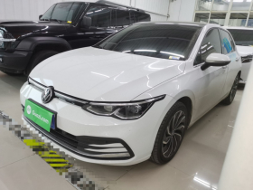 大众 高尔夫 2021款 280TSI DSG Pro