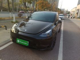 特斯拉 Model Y 2021款 标准续航后驱版