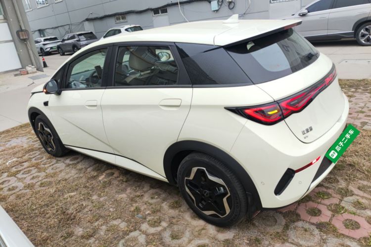 比亚迪 海豚 2025款 智驾版 420km 自由版车身外观6003