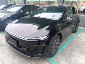 特斯拉 Model Y L 2025款 长续航全轮驱动版