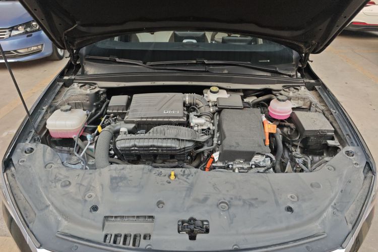 比亚迪 秦PLUS 2024款 荣耀版 DM-i 55KM领先型机舱底盘24