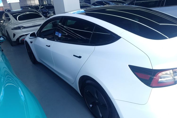 特斯拉 Model 3(进口) 2019款 长续航全轮驱动版车身外观6003