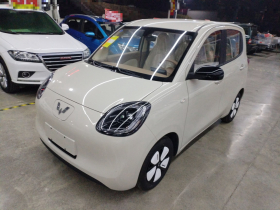 五菱汽车 宏光MINIEV 2025款 四门版 进阶款