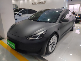 特斯拉 Model 3 2021款 标准续航后驱升级版