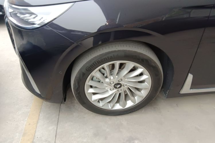 岚图汽车 岚图梦想家 2022款 低碳版 想+智驾包车身外观6003