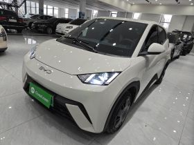 比亚迪 海鸥 2024款 荣耀版 305km 活力版