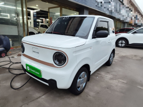 吉利银河 2024款 熊猫mini 200km 耐力熊