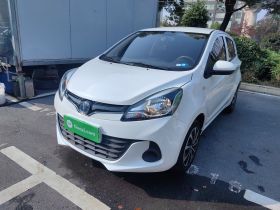 长安欧尚 奔奔E-Star 2021款 国民版 心悦版 磷酸铁锂（31.86kWh）