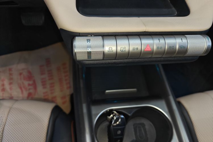 比亚迪 海豚 2024款 荣耀版 420km 自由版局部细节18