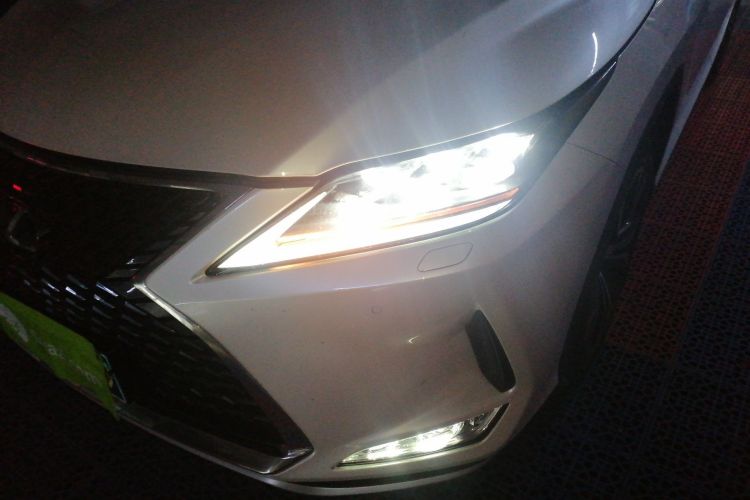 雷克萨斯RX 2020款 300 四驱典雅版 国VI局部细节36