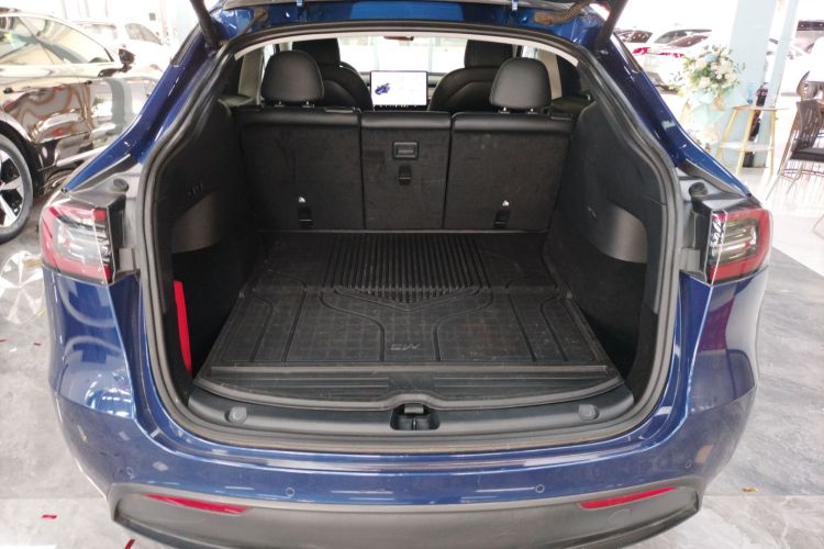 特斯拉 Model Y 2021款 标准续航后驱版局部细节23