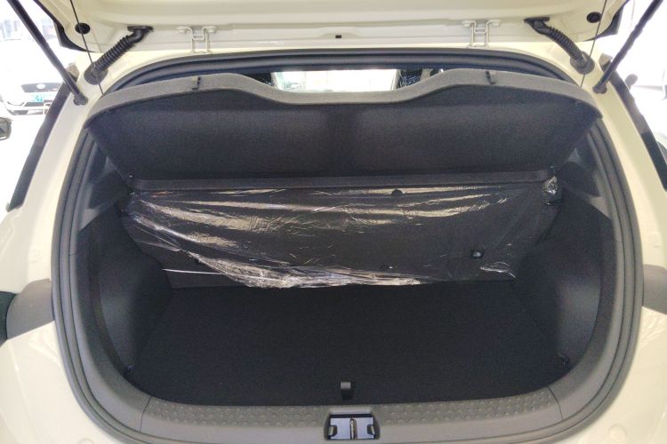 比亚迪 海豚 2025款 420km 自由版机舱底盘23