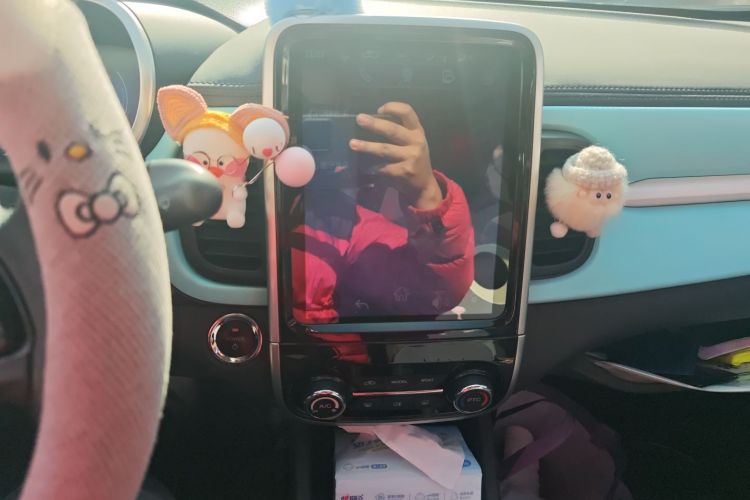 奇瑞 小蚂蚁 2021款 20万蚁粉款 朝气版 磷酸铁锂 301km中控内饰16