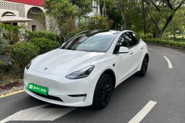 特斯拉 Model Y 2021款 长续航全轮驱动版 3D7