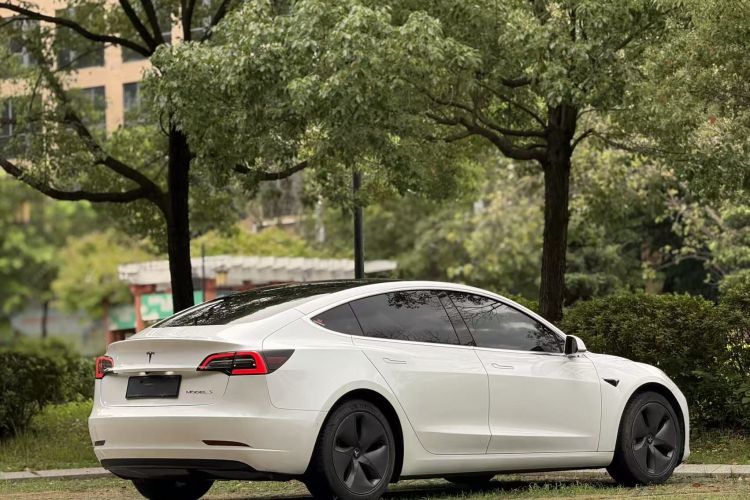 特斯拉 Model 3 2020款 改款 标准续航后驱升级版车身外观6005