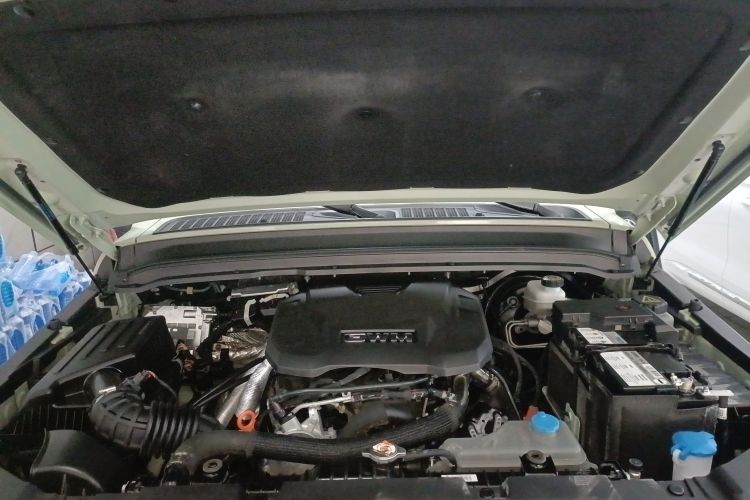 坦克300 2024款 2.0T 穿越者机舱底盘24