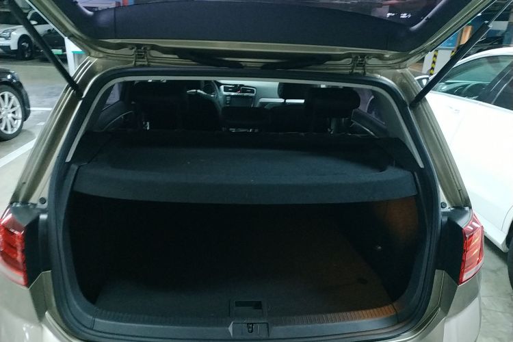 大众 高尔夫 2019款 280TSI DSG舒适型 国V局部细节23