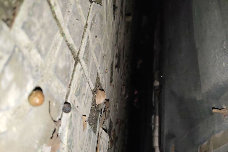 东风风行 风行游艇 2022款 1.5T DCT揽月版局部细节9001